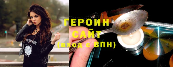 ГАЛЛЮЦИНОГЕННЫЕ ГРИБЫ Дмитриев