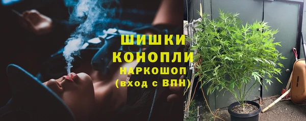 винт Аркадак