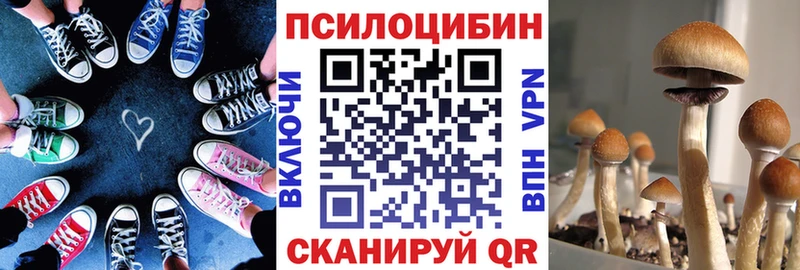 купить закладку  Кемь  Галлюциногенные грибы GOLDEN TEACHER 