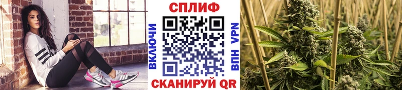 ссылка на мегу зеркало  Кемь  Бошки марихуана план 